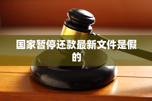 国家暂停还款最新文件是假的 国家暂停还款最新文件是假的