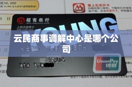 云民商事调解中心是哪个公司 云民商事调解中心是哪个公司