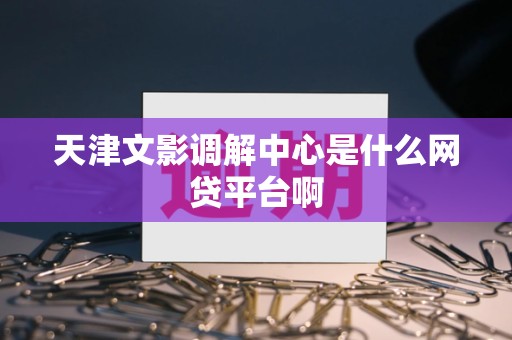 天津文影调解中心是什么网贷平台啊