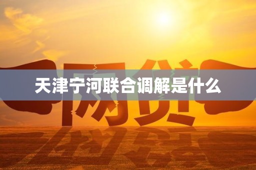 天津宁河联合调解是什么 天津宁河联合调解是什么