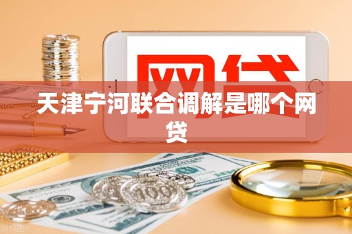 天津宁河联合调解是哪个网贷