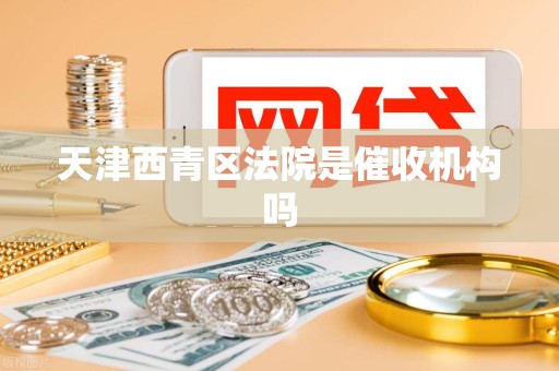 天津西青区法院是催收机构吗
