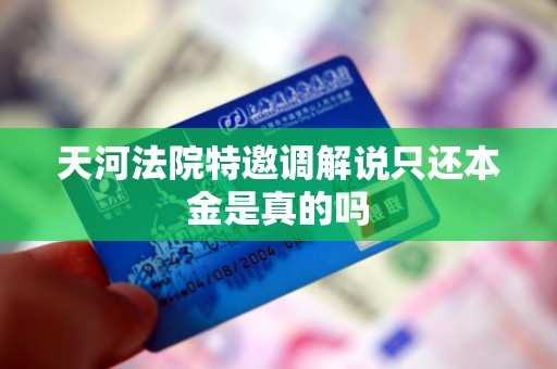天河法院特邀调解说只还本金是真的吗