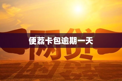 便荔卡包逾期一天