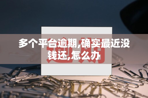 多个平台逾期,确实最近没钱还,怎么办 多个平台逾期,确实最近没钱还,怎么办