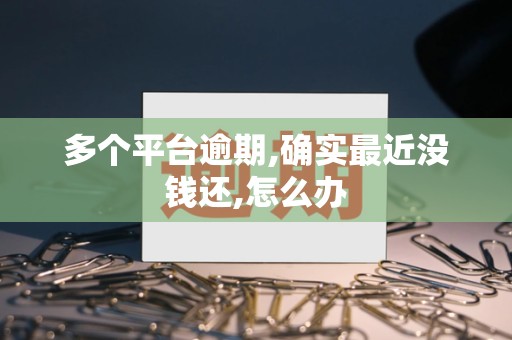 多个平台逾期,确实最近没钱还,怎么办 多个平台逾期,确实最近没钱还,怎么办