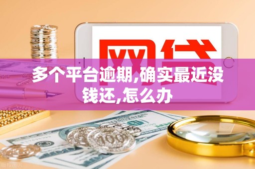 多个平台逾期,确实最近没钱还,怎么办 多个平台逾期,确实最近没钱还,怎么办