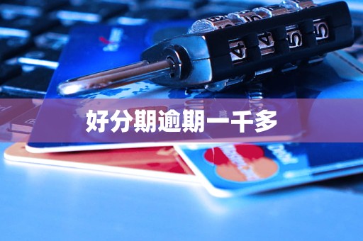 好分期逾期一千多