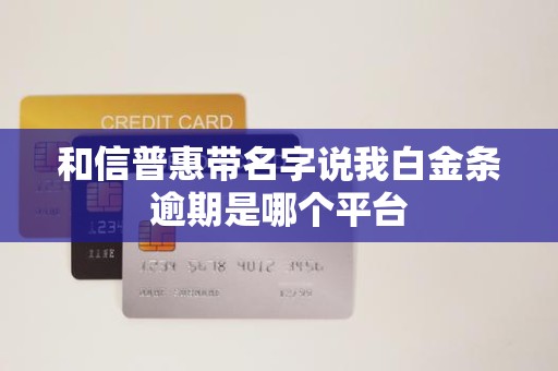 和信普惠带名字说我白金条逾期是哪个平台