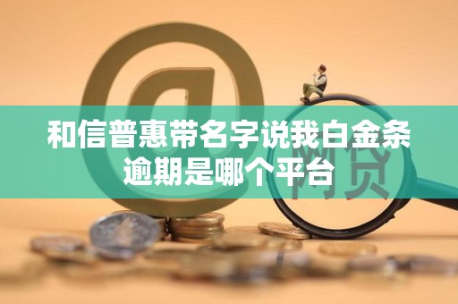 和信普惠带名字说我白金条逾期是哪个平台