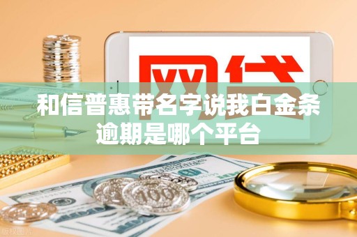和信普惠带名字说我白金条逾期是哪个平台