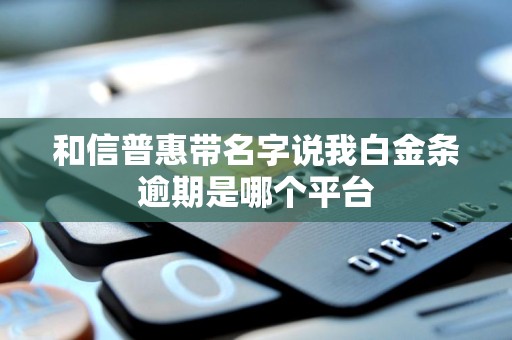 和信普惠带名字说我白金条逾期是哪个平台