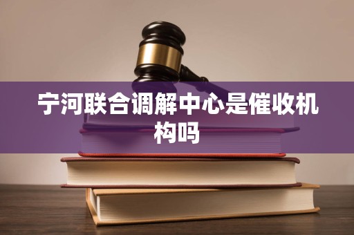 宁河联合调解中心是催收机构吗