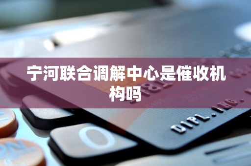 宁河联合调解中心是催收机构吗 宁河联合调解中心是催收机构吗