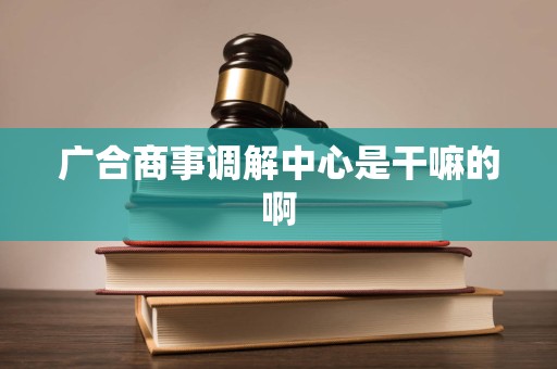 广合商事调解中心是干嘛的啊 广合商事调解中心是干嘛的啊