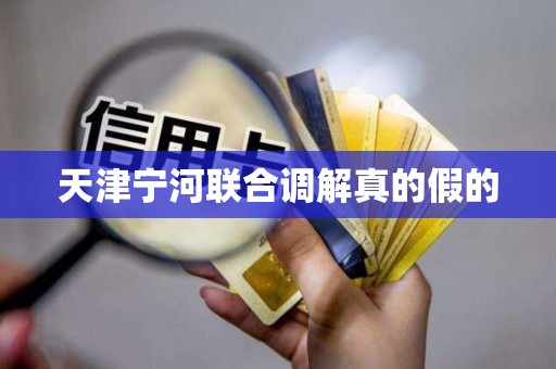 天津宁河联合调解真的假的 天津宁河联合调解真的假的