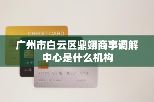 广州市白云区鼎翊商事调解中心是什么机构 广州市白云区鼎翊商事调解中心是什么机构