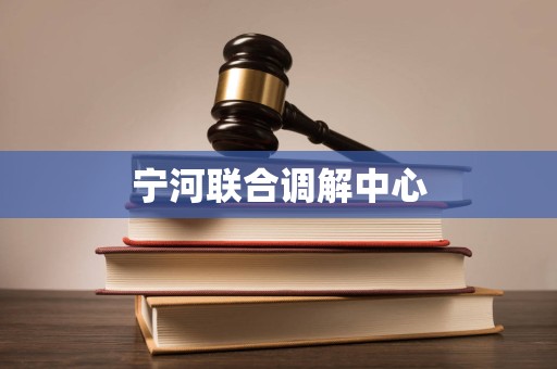 宁河联合调解中心 宁河联合调解中心