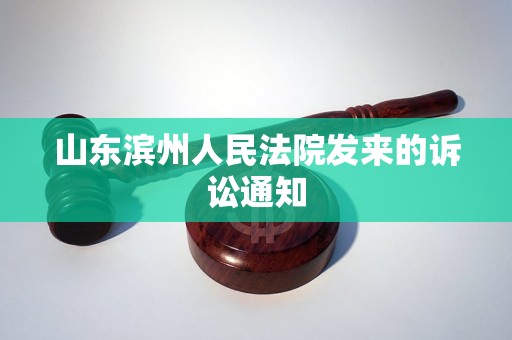 山东滨州人民法院发来的诉讼通知