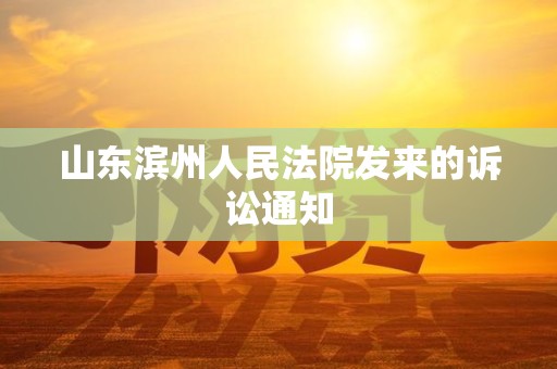 山东滨州人民法院发来的诉讼通知