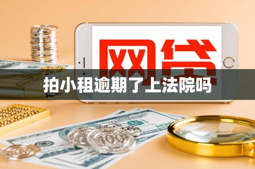 拍小租逾期了上法院吗