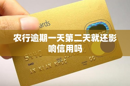 农行逾期一天第二天就还影响信用吗