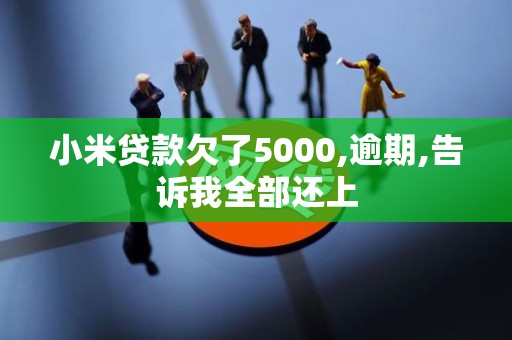 小米贷款欠了5000,逾期,告诉我全部还上