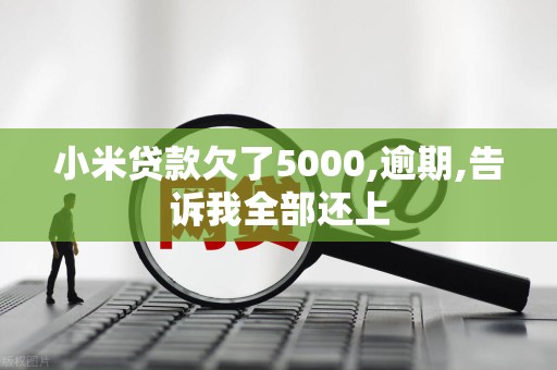 小米贷款欠了5000,逾期,告诉我全部还上