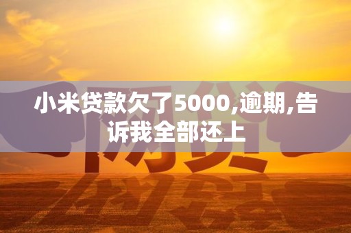 小米贷款欠了5000,逾期,告诉我全部还上