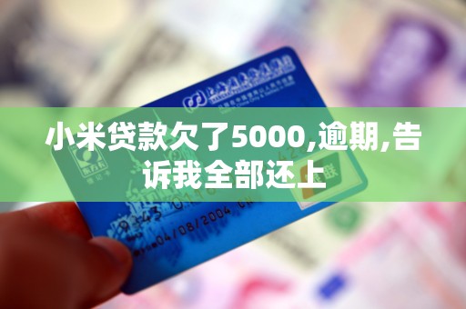 小米贷款欠了5000,逾期,告诉我全部还上