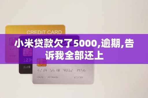小米贷款欠了5000,逾期,告诉我全部还上