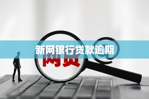 新网银行贷款逾期