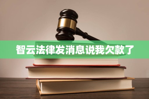 智云法律发消息说我欠款了