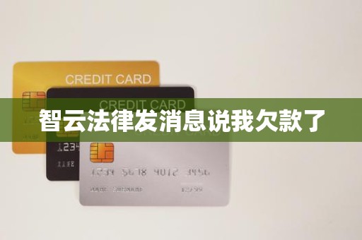 智云法律发消息说我欠款了