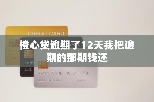 橙心贷逾期了12天我把逾期的那期钱还 橙心贷逾期了12天我把逾期的那期钱还
