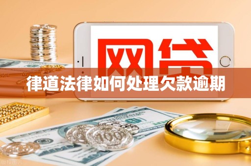 律道法律如何处理欠款逾期