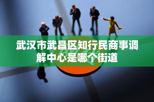 武汉市武昌区知行民商事调解中心是哪个街道