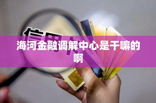 海河金融调解中心是干嘛的啊 海河金融调解中心是干嘛的啊
