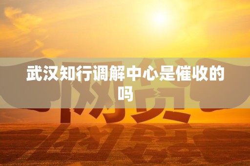 武汉知行调解中心是催收的吗