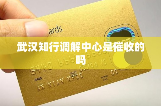 武汉知行调解中心是催收的吗