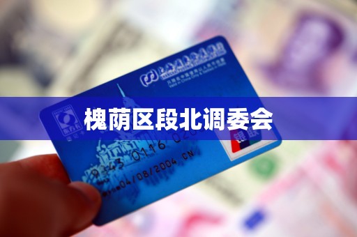 槐荫区段北调委会 槐荫区段北调委会