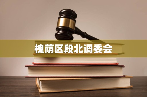 槐荫区段北调委会 槐荫区段北调委会