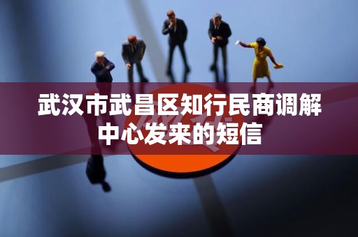 武汉市武昌区知行民商调解中心发来的短信 武汉市武昌区知行民商调解中心发来的短信