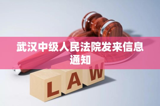 武汉中级人民法院发来信息通知