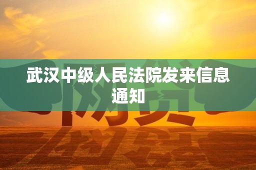 武汉中级人民法院发来信息通知