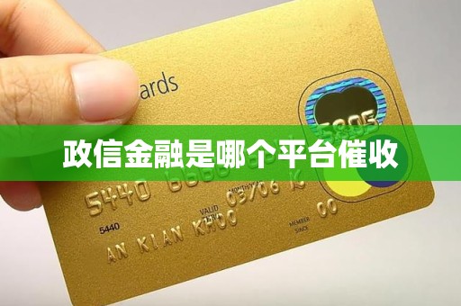 政信金融是哪个平台催收