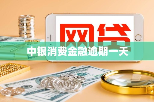 中银消费金融逾期一天 中银消费金融逾期一天