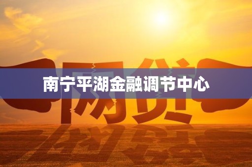 南宁平湖金融调节中心