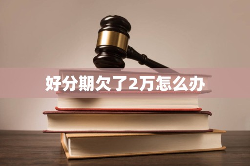 好分期欠了2万怎么办