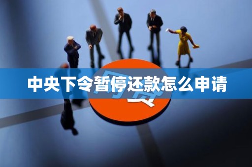 中央下令暂停还款怎么申请 中央下令暂停还款怎么申请